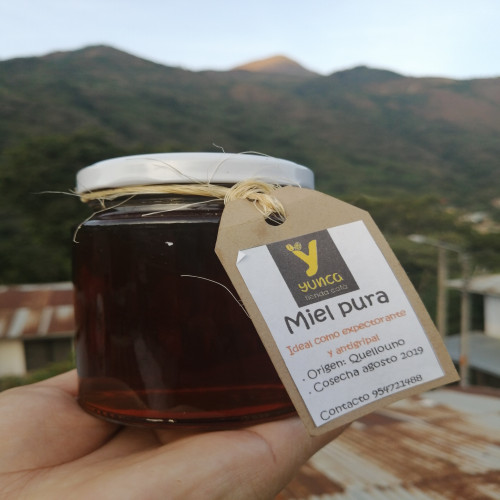 IzzyWork - Miel pura 300g