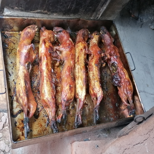 IzzyWork - Cuy al horno